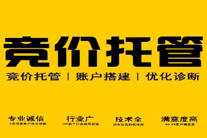 竞价推广SEM托管策略优化——某科技公司的成功经验